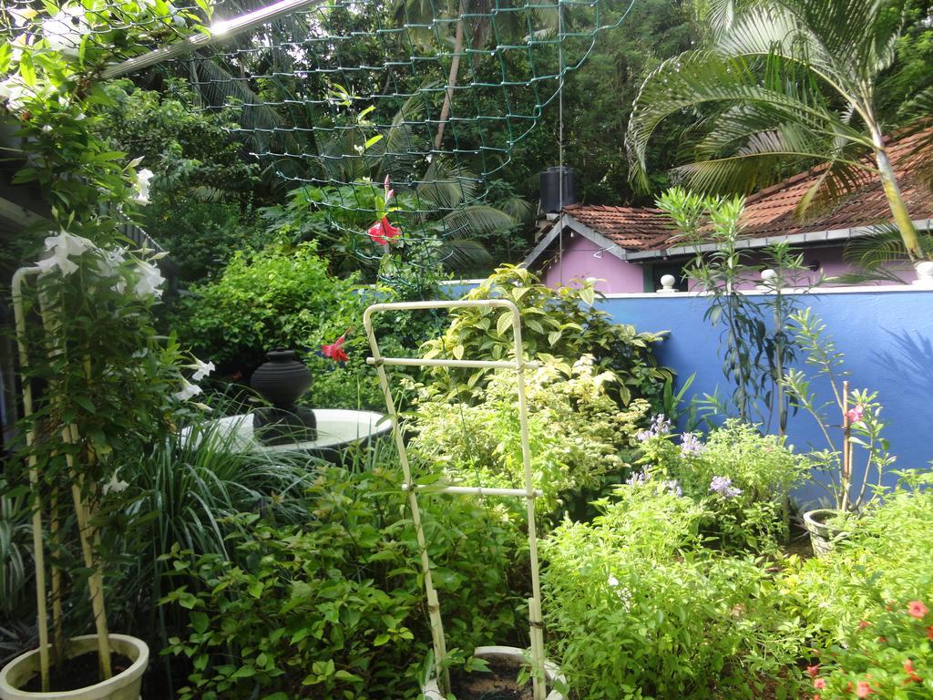 Abha Villa Galle Kültér fotó